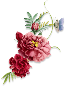 flora-2